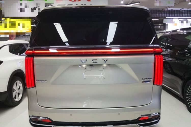 Used Wey Gaoshan 2023 Four-Wheel Drive Flagship Edition Rear