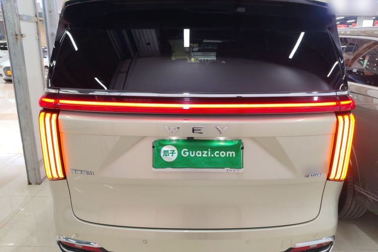 Used Wey Gaoshan 2023 Four-Wheel Drive Flagship Edition Rear