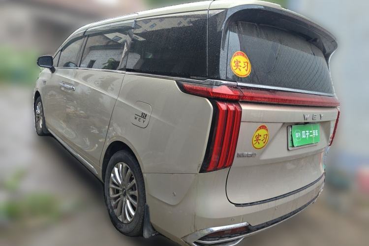 Used Wey Gaoshan 2023 Four-Wheel Drive Flagship Edition Rear Left 45 Deg
