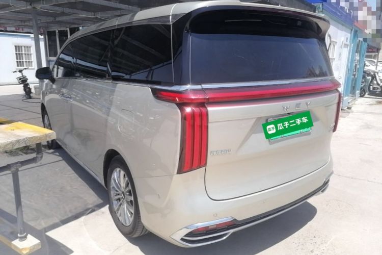 Used Wey Gaoshan 2023 Four-Wheel Drive Flagship Edition Rear Left 45 Deg