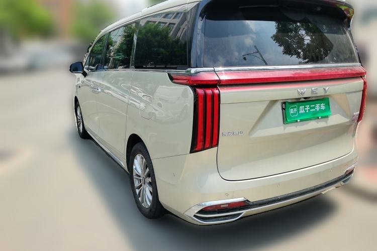Used Wey Gaoshan 2023 Four-Wheel Drive Premium Edition Rear Left 45 Deg