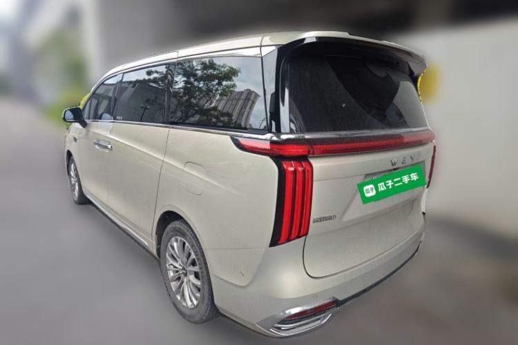 Used Wey Gaoshan 2023 Four-Wheel Drive Flagship Edition Rear Left 45 Deg
