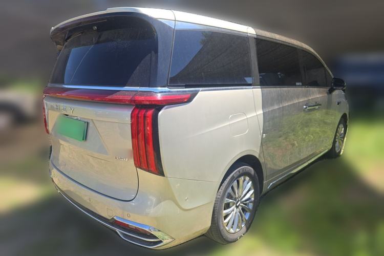 Used Wey Gaoshan 2023 Four-Wheel Drive Flagship Edition Rear Right 45 Deg