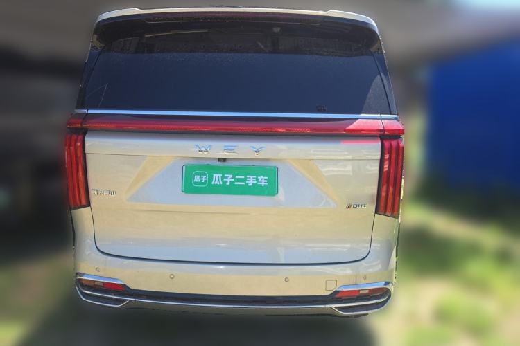 Used Wey Gaoshan 2023 Four-Wheel Drive Flagship Edition Rear