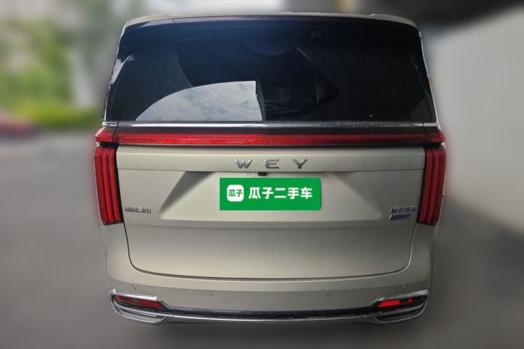 Used Wey Gaoshan 2023 Four-Wheel Drive Flagship Edition Rear