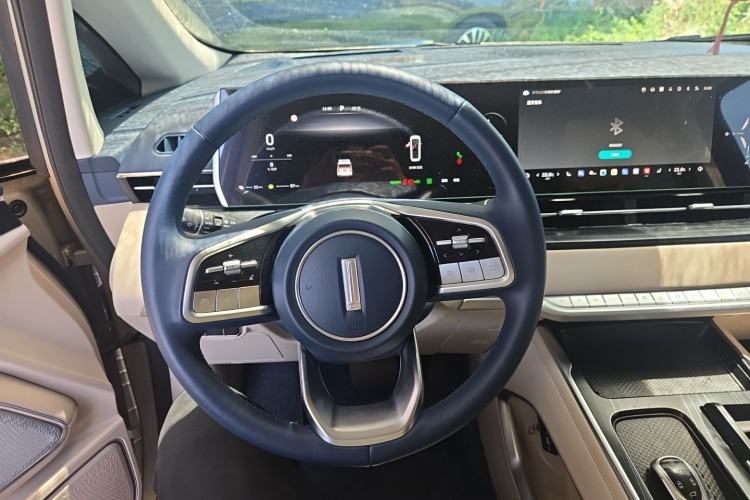 Used Wey Gaoshan 2023 Four-Wheel Drive Flagship Edition Steering Wheel