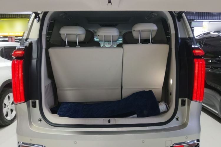 Used Wey Gaoshan 2023 Four-Wheel Drive Flagship Edition Trunk