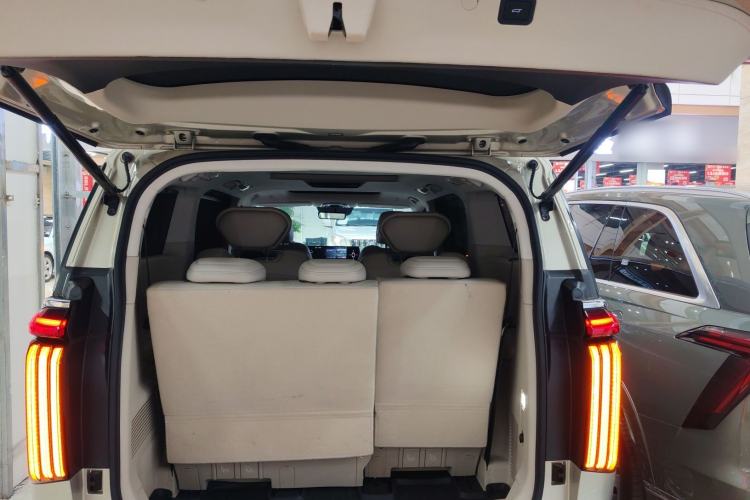 Used Wey Gaoshan 2023 Four-Wheel Drive Flagship Edition Trunk
