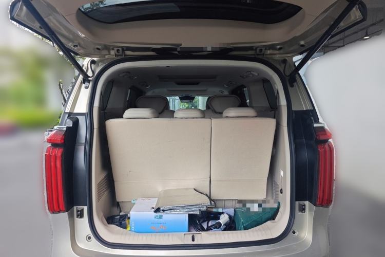 Used Wey Gaoshan 2023 Four-Wheel Drive Flagship Edition Trunk
