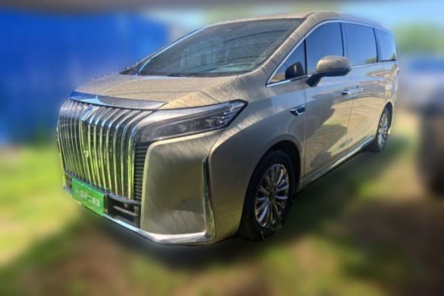 Used Wey Gaoshan 2023 Four-Wheel Drive Flagship Edition