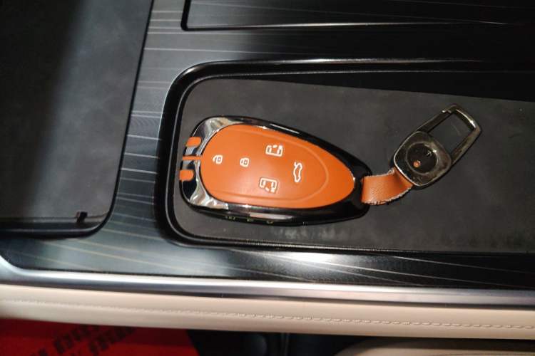 Used Wey Gaoshan 2023 Four-Wheel Drive Flagship Edition Vehicle Key