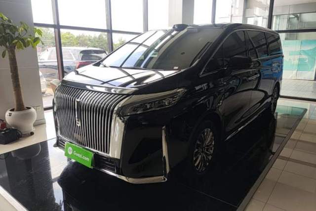 Used Wey Gaoshan 2025 Four-Wheel Drive Alpine 9