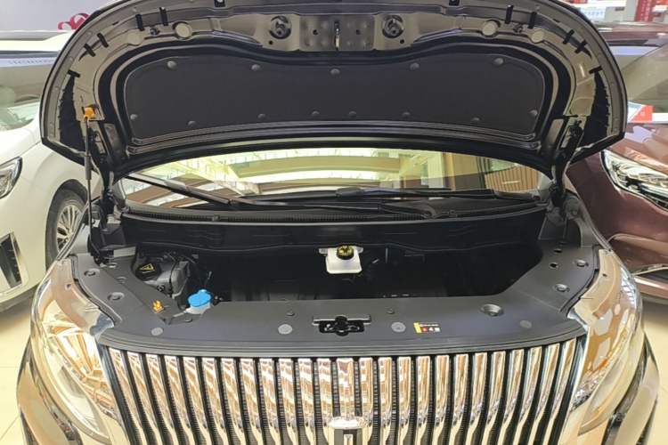 Used Wey Gaoshan 2025 Four-Wheel Drive Alpine 8 Engine Bay