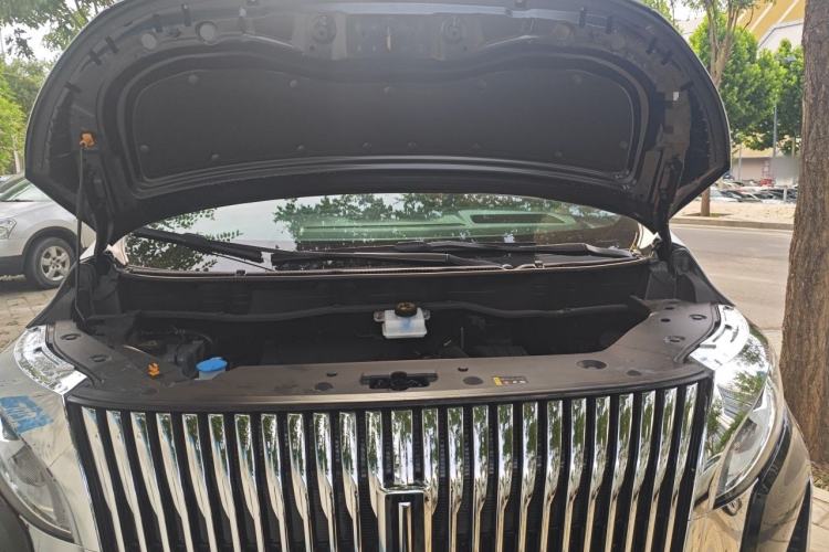 Used Wey Gaoshan 2025 Four-Wheel Drive Alpine 8 Engine Bay