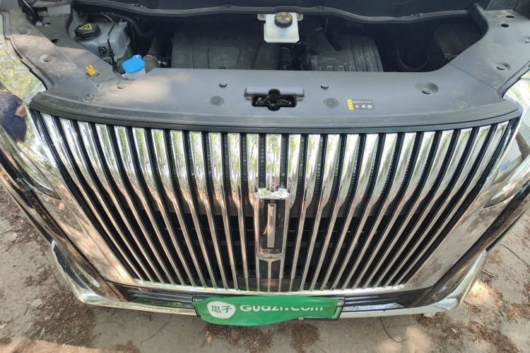 Used Wey Gaoshan 2025 Four-Wheel Drive Alpine 9 Engine Bay