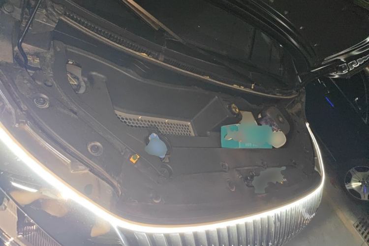 Used Wey Gaoshan 2025 Four-Wheel Drive Alpine 8 Engine Bay