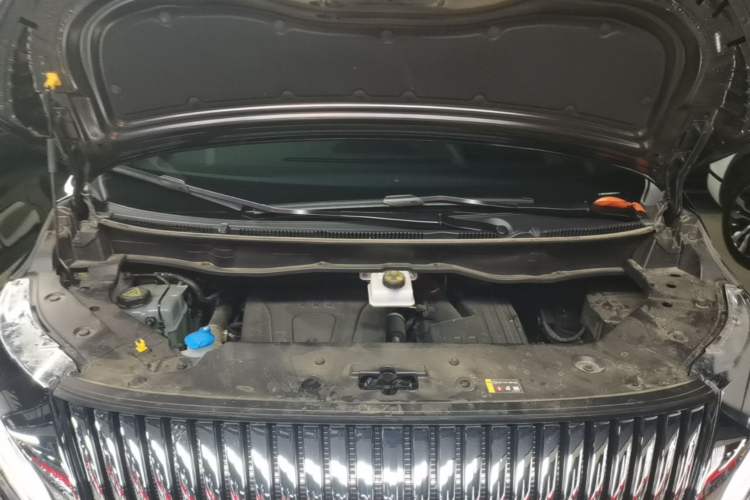 Used Wey Gaoshan 2025 Four-Wheel Drive Alpine 8 Engine Bay