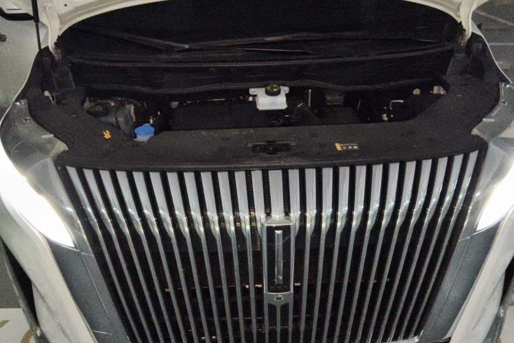 Used Wey Gaoshan 2025 Four-Wheel Drive Alpine 8 Engine Bay