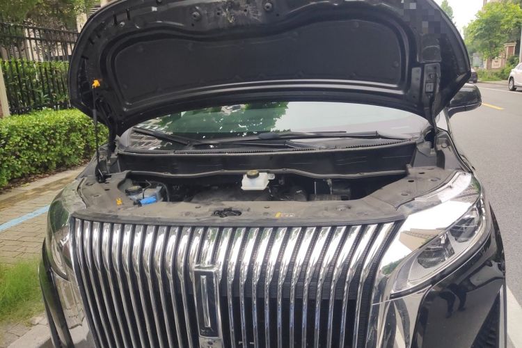 Used Wey Gaoshan 2025 Four-Wheel Drive Alpine 8 Engine Bay