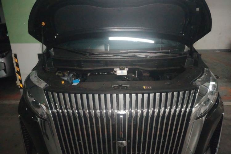 Used Wey Gaoshan 2025 Four-Wheel Drive Alpine 8 Engine Bay