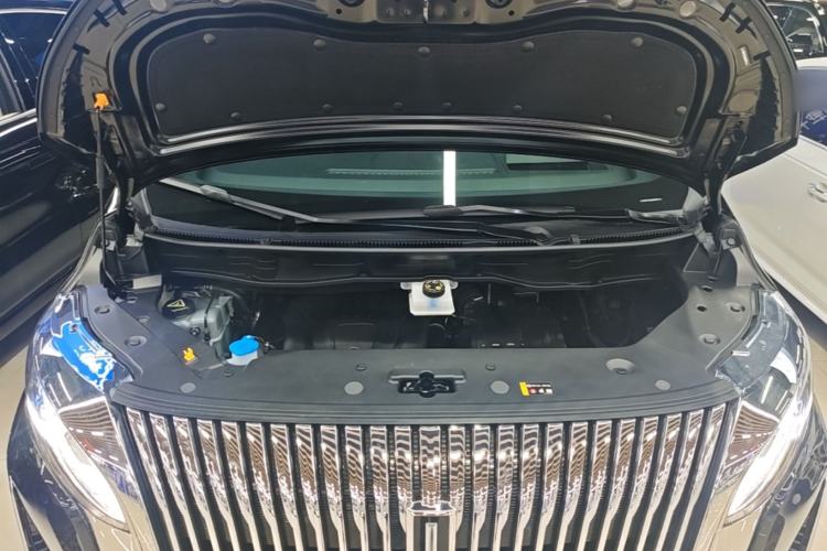 Used Wey Gaoshan 2025 Four-Wheel Drive Alpine 8 Engine Bay