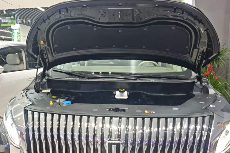 Used Wey Gaoshan 2025 Four-Wheel Drive Alpine 8 Engine Bay