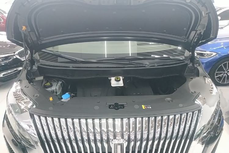 Used Wey Gaoshan 2025 Four-Wheel Drive Alpine 8 Engine Bay