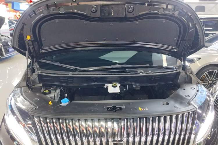 Used Wey Gaoshan 2025 Four-Wheel Drive Alpine 8 Engine Bay