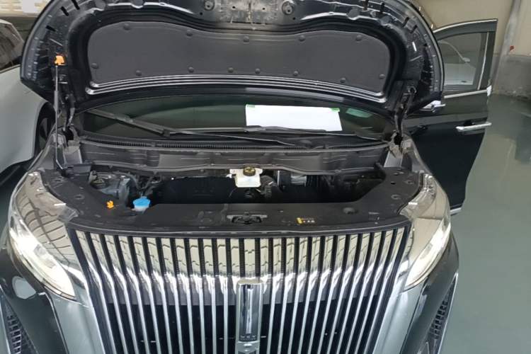 Used Wey Gaoshan 2025 Four-Wheel Drive Alpine 8 Engine Bay