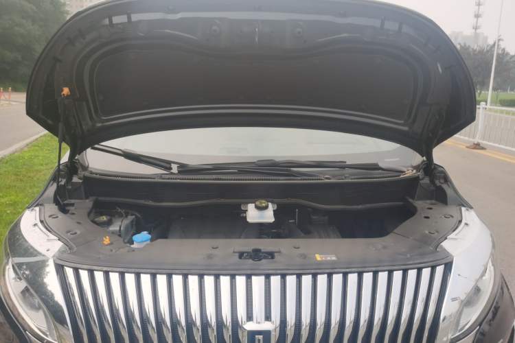 Used Wey Gaoshan 2025 Four-Wheel Drive Alpine 8 Engine Bay