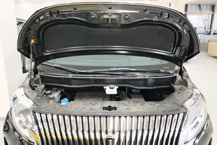 Used Wey Gaoshan 2025 Four-Wheel Drive Alpine 8 Engine Bay