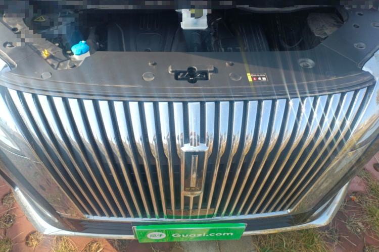 Used Wey Gaoshan 2025 Four-Wheel Drive Alpine 8 Engine Bay