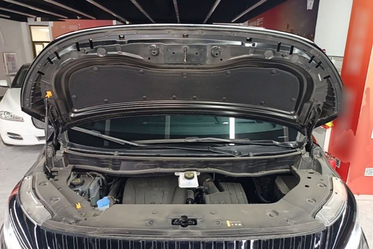 Used Wey Gaoshan 2025 Four-Wheel Drive Alpine 8 Engine Bay