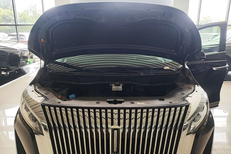 Used Wey Gaoshan 2025 Four-Wheel Drive Alpine 8 Engine Bay