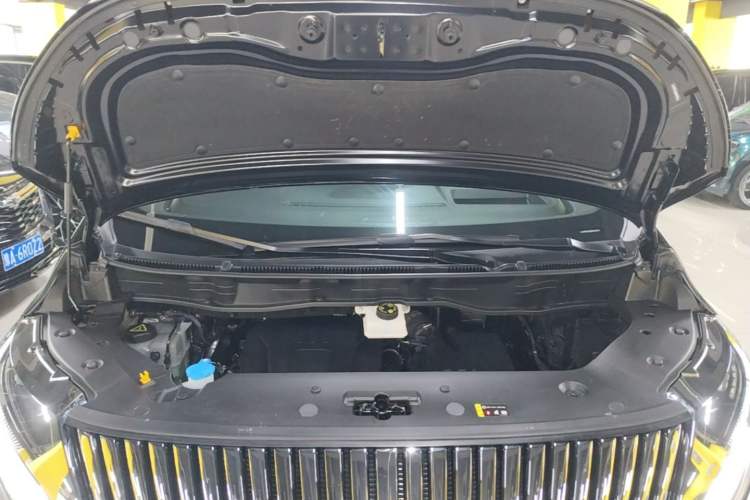 Used Wey Gaoshan 2025 Four-Wheel Drive Alpine 8 Engine Bay