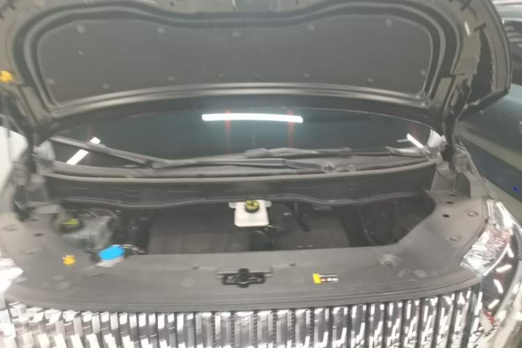 Used Wey Gaoshan 2025 Four-Wheel Drive Alpine 9 Engine Bay