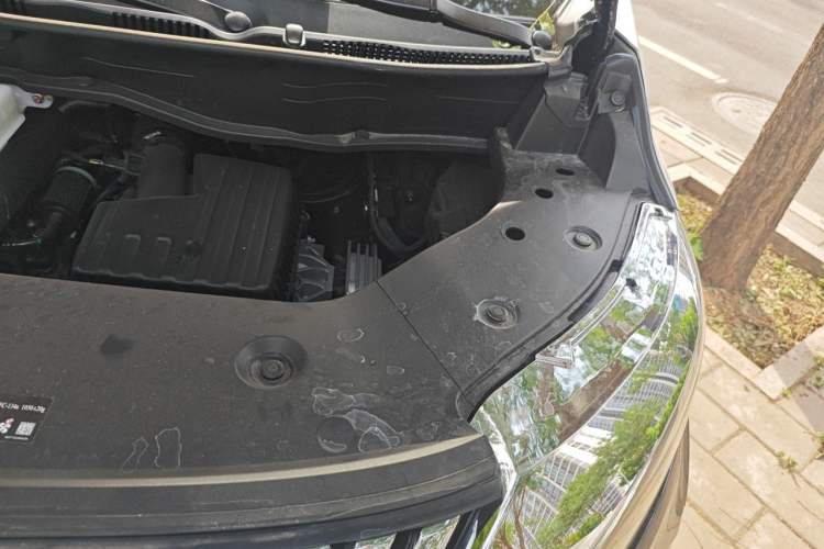 Used Wey Gaoshan 2025 Four-Wheel Drive Alpine 8 Engine Bay Left