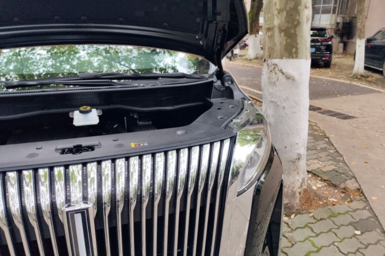 Used Wey Gaoshan 2025 Four-Wheel Drive Alpine 8 Engine Bay Left
