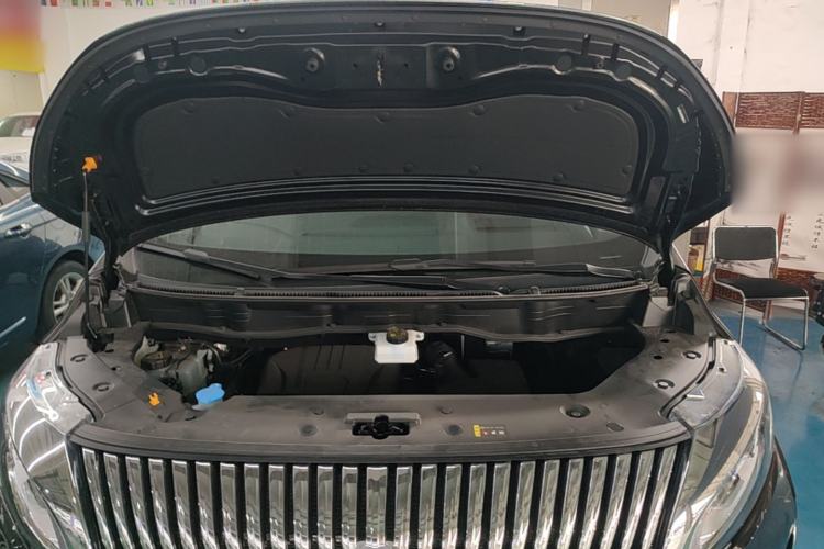 Used Wey Gaoshan 2025 Four-Wheel Drive Alpine 8 Engine Bay