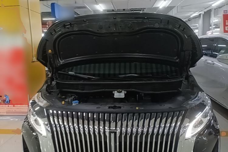 Used Wey Gaoshan 2025 Four-Wheel Drive Alpine 9 Engine Bay