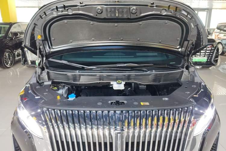 Used Wey Gaoshan 2025 Four-Wheel Drive Alpine 8 Engine Bay