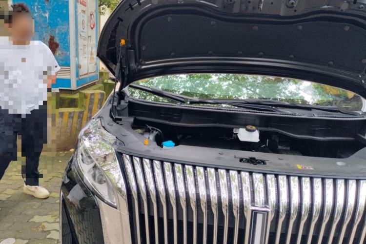Used Wey Gaoshan 2025 Four-Wheel Drive Alpine 8 Engine Bay Right