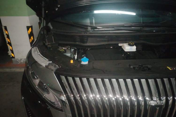 Used Wey Gaoshan 2025 Four-Wheel Drive Alpine 8 Engine Bay Right