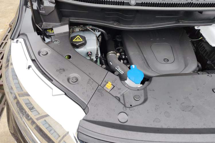 Used Wey Gaoshan 2025 Four-Wheel Drive Alpine 8 Engine Bay Right