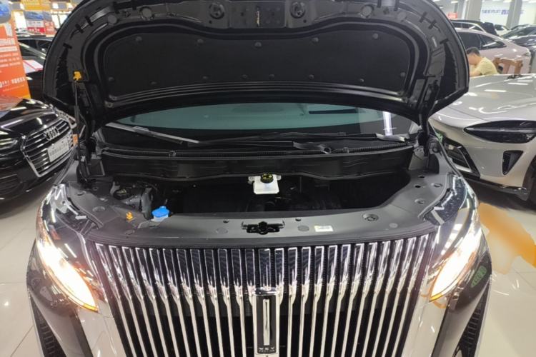 Used Wey Gaoshan 2025 Four-Wheel Drive Alpine 8 Engine Bay