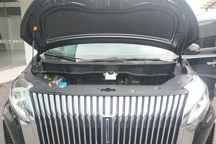 Used Wey Gaoshan 2025 Four-Wheel Drive Alpine 8 Engine Bay
