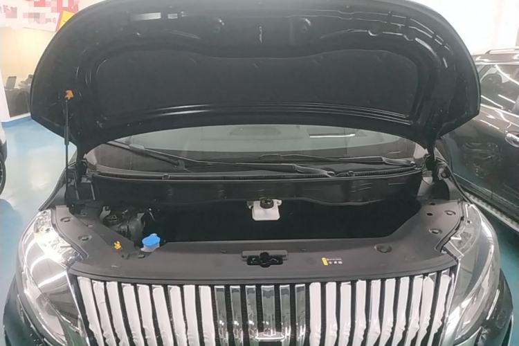 Used Wey Gaoshan 2025 Four-Wheel Drive Alpine 8 Engine Bay