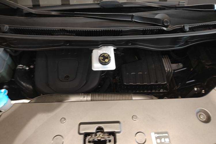 Used Wey Gaoshan 2025 Four-Wheel Drive Alpine 8 Engine Bay