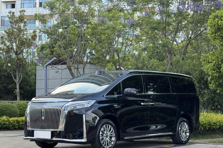 Used Wey Gaoshan 2025 Four-Wheel Drive Alpine 8 Exterior 1