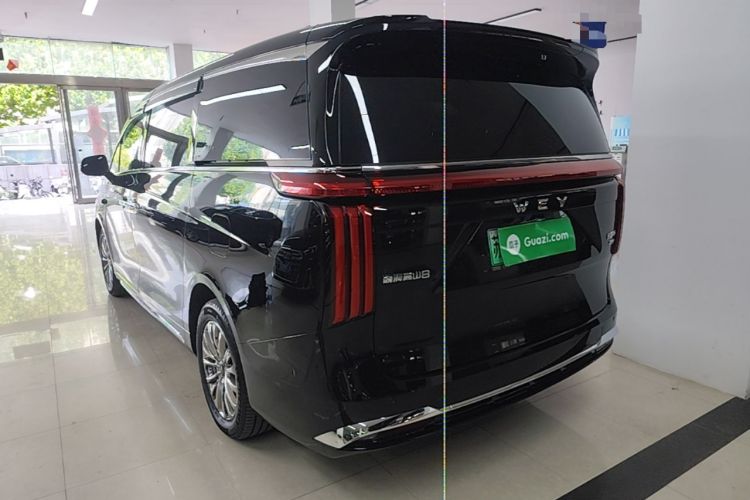 Used Wey Gaoshan 2025 Four-Wheel Drive Alpine 8 Exterior 2